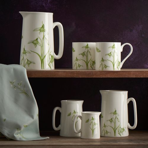 Snowdrop Wholesale Brochure